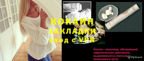 ПСИЛОЦИБИНОВЫЕ ГРИБЫ Гусев