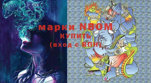 ПСИЛОЦИБИНОВЫЕ ГРИБЫ Гусев
