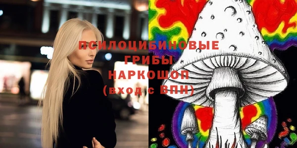 ПСИЛОЦИБИНОВЫЕ ГРИБЫ Гусев