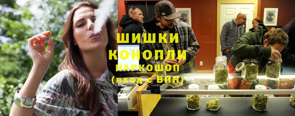 ПСИЛОЦИБИНОВЫЕ ГРИБЫ Гусев