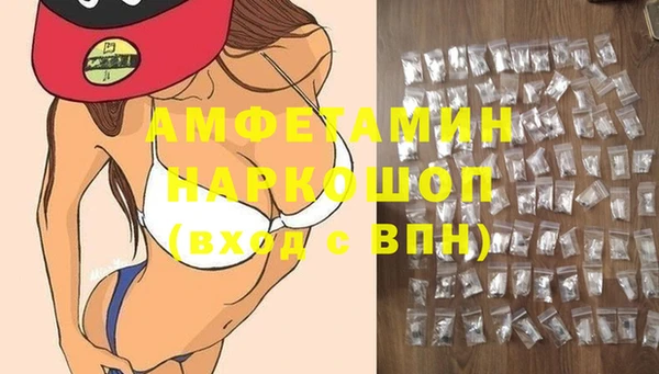 ПСИЛОЦИБИНОВЫЕ ГРИБЫ Гусев