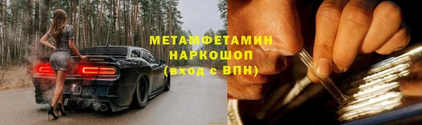 ПСИЛОЦИБИНОВЫЕ ГРИБЫ Гусев