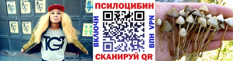 Галлюциногенные грибы мицелий  Купить где  Кувандык 